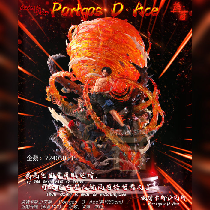 Ace Monkey D Studio