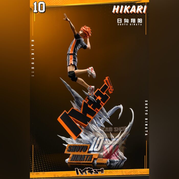 Shoyo Hinata Haikyu Hikari Studio